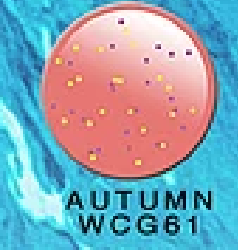 Wave Matching - Original Collection (50 -- 138)